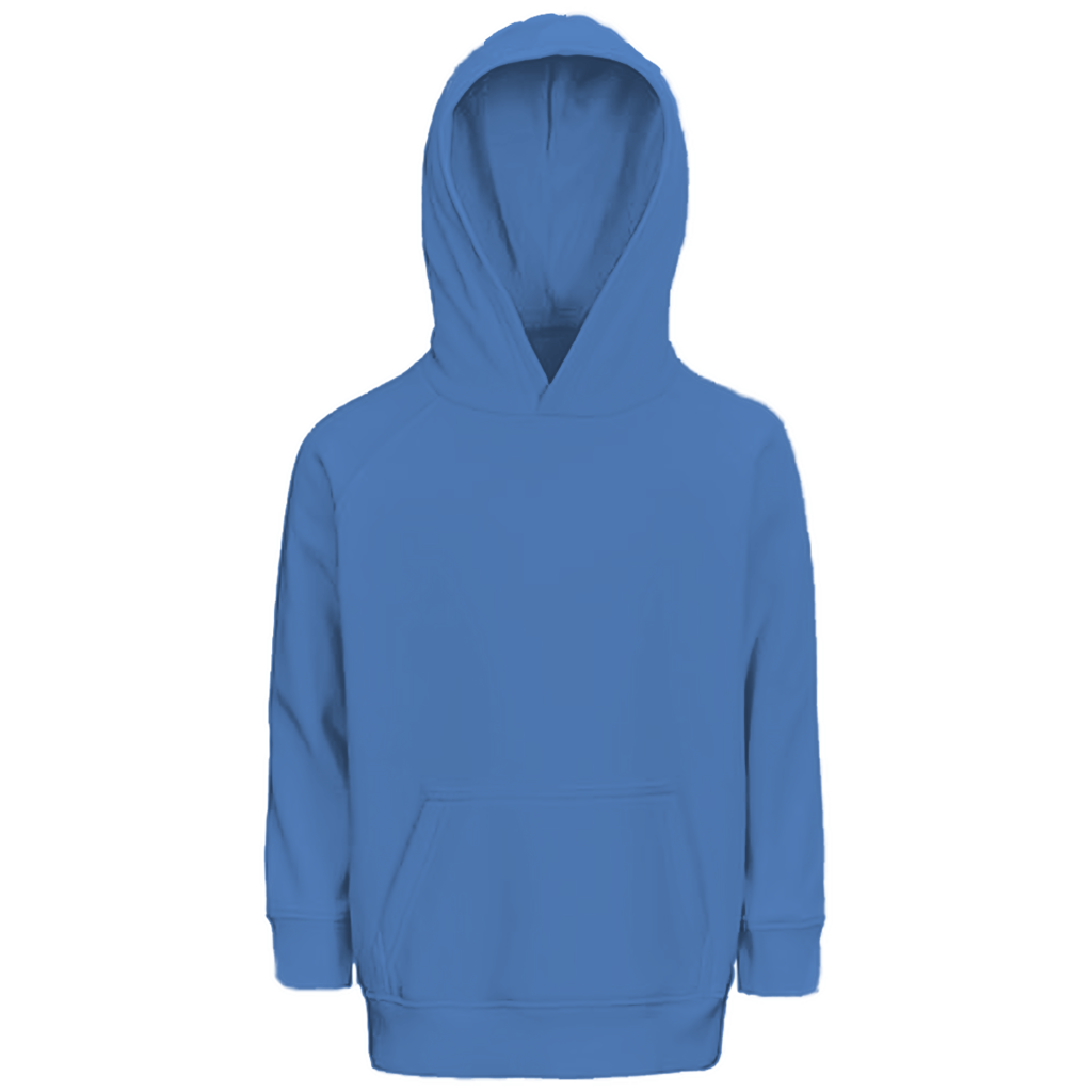 Kids Premium Organic Hoodie - Bosnia | Design 01 | Back Print