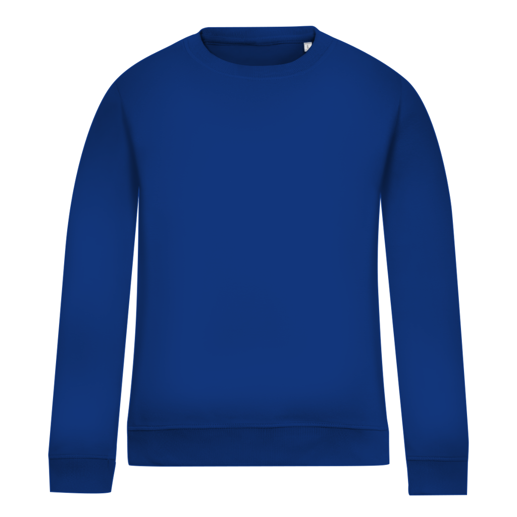 Women's Sweatshirt – Bosnia | Design 01 | Back Print