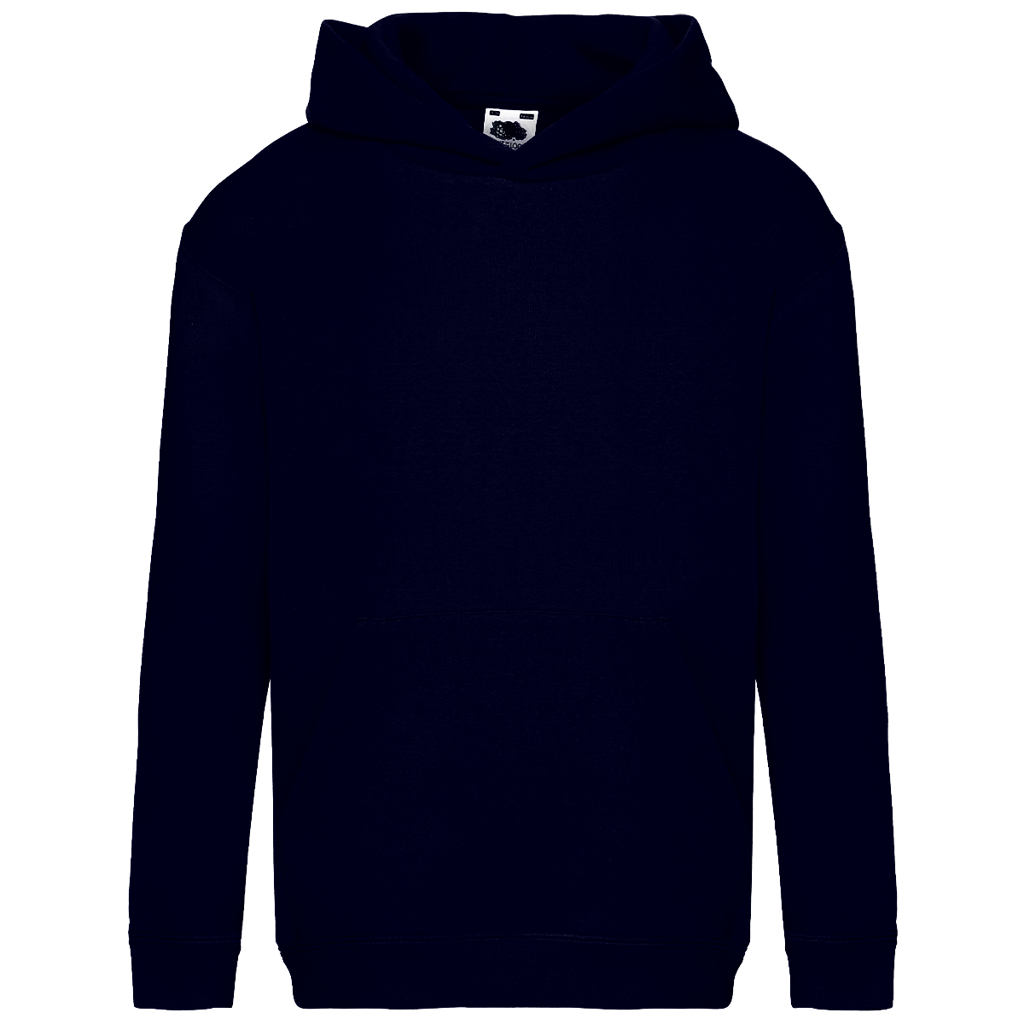 Kids Basic Hoodie Bosnia – Bosnia Heartbeat | Back Print
