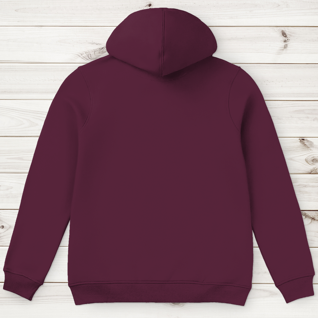 Men's Premium Organic Hoodie – Dolazi Bosna Ponosna | Frontprint