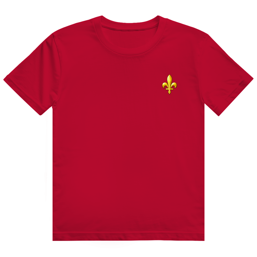 Herren Heavy Cotton T-Shirt - Bosnien | Ljiljan
