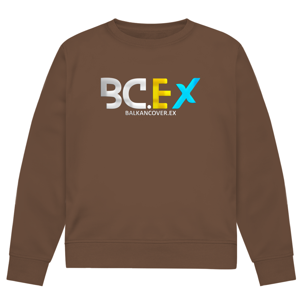 Herren Premium Bio Sweatshirt BCEX | Frontprint