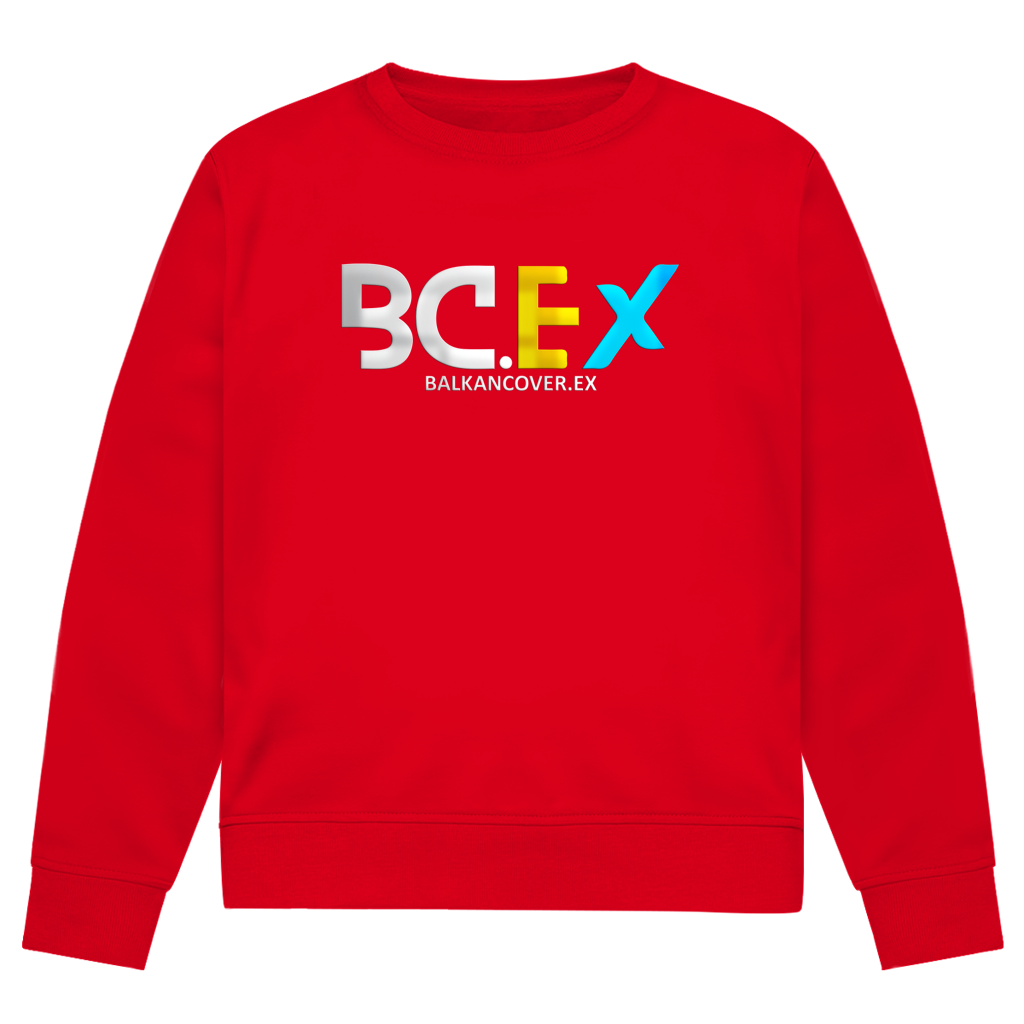 Herren Premium Bio Sweatshirt BCEX | Frontprint